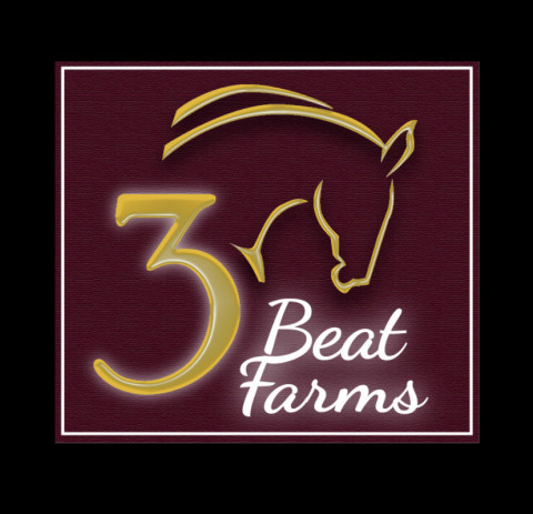 Visit Three Beat Farms Horse Camp