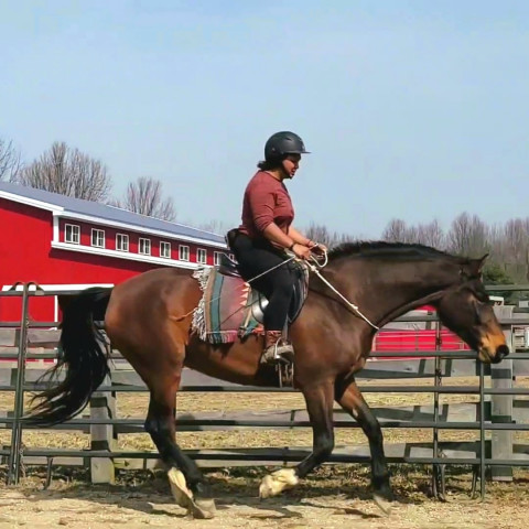 Visit Upstream Horsemanship