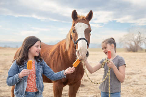 Visit Horse Camp at Broken Heart Horse Farm (All Levels) Ages 6-12