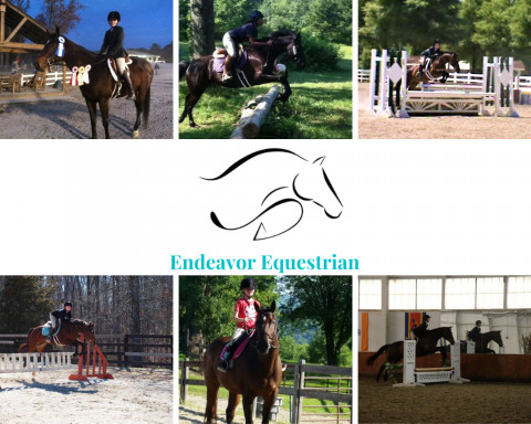 Visit Endeavor Equestrian