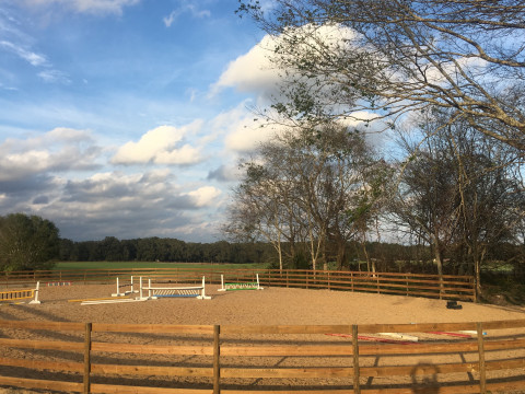 Visit Eclipse Sporthorses