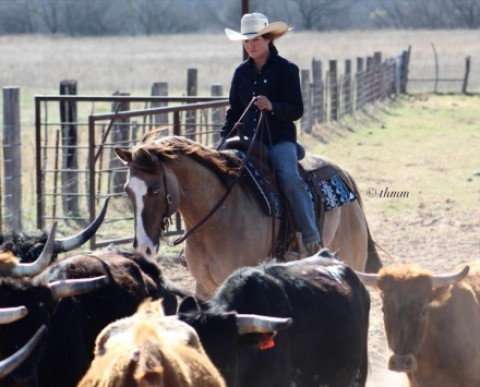 Visit MR MAGIC FAITH ~ 2016 GRULLO GELDING ~ BROKE & GENTLE!