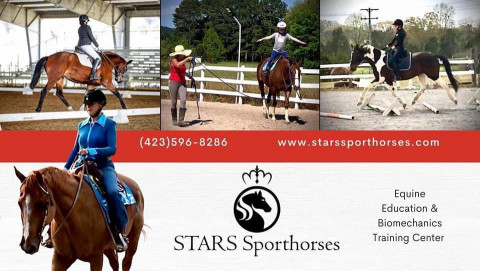 Visit STARS Sporthorses
