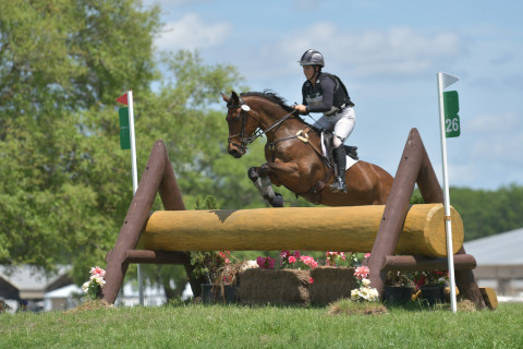 Visit First time riders to lower level eventers - Riding lessons available