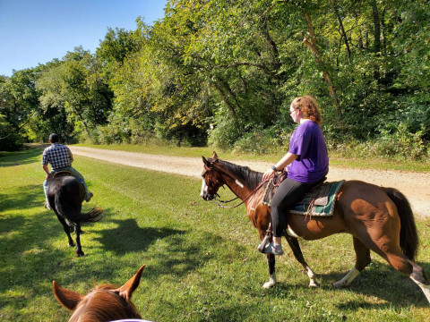 best equestrian lessons near me