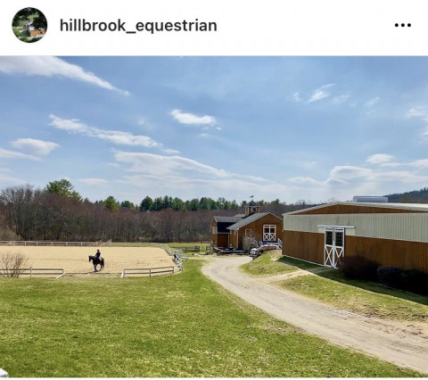 Visit Hill Brook Equestrian