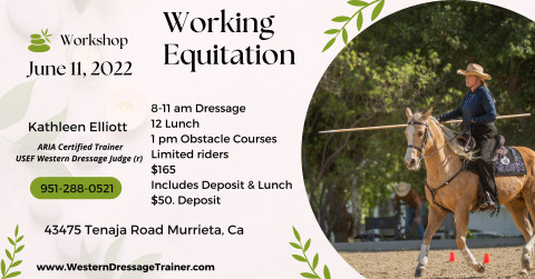 Visit Working Equitation Training Workshops and Clinics