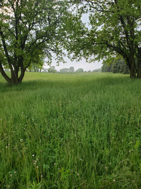 Visit Windy Oaks Farm