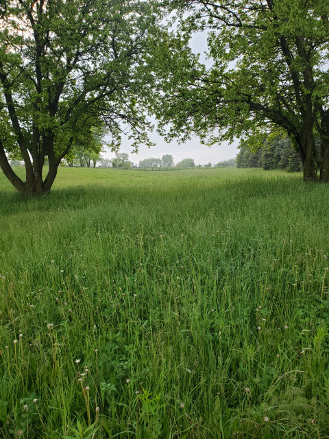 Visit Windy Oaks Farm