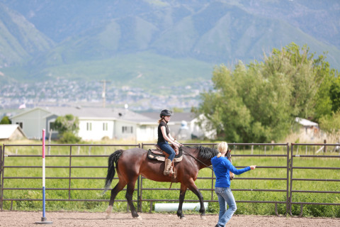 Visit Star City Farm