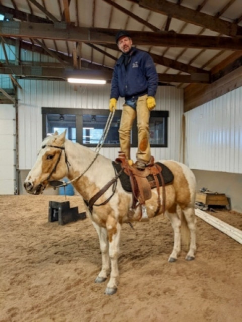 Visit Eye Catching APHA Paint Young Mare. Kids safe