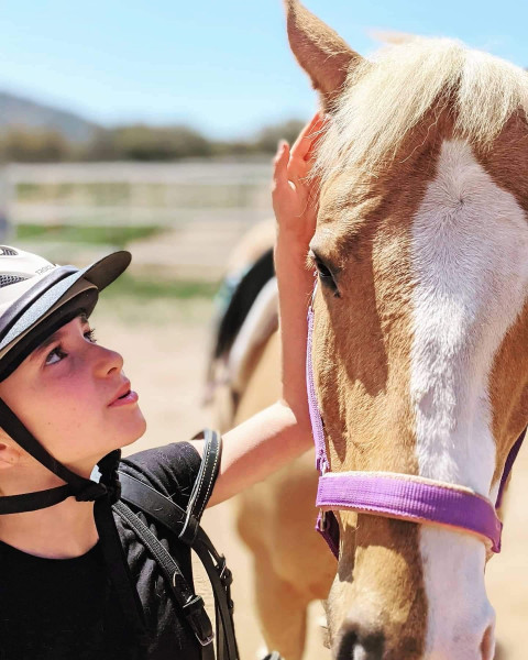 Visit Palmriders Horse riding Lessons and Training