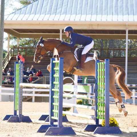 Visit First time riders to lower level eventers - Riding lessons available