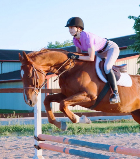 Visit Fine Grit Equestrian