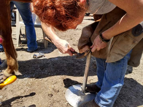 Visit Quality Farrier Service