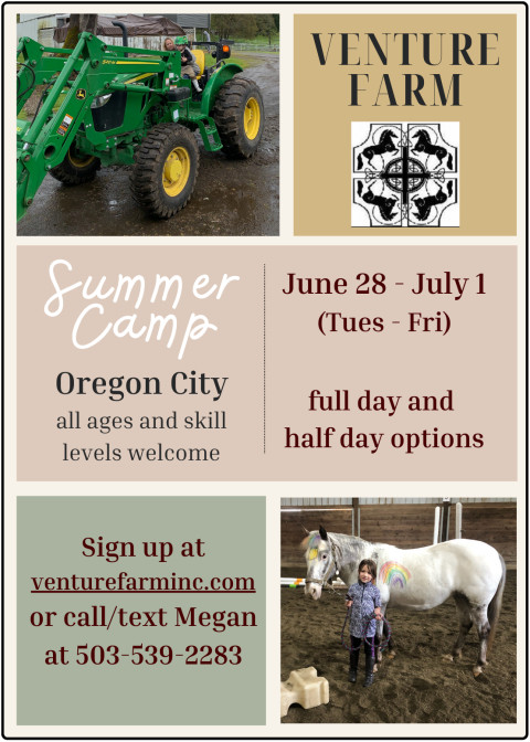 Visit Summer Horse Camp for kids at Venture Farm