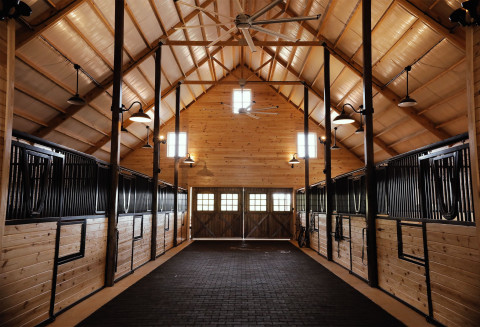 Visit Classic Equine Equipment