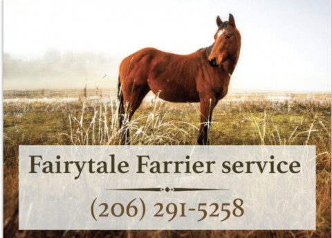 Visit Fairytale Farrier service