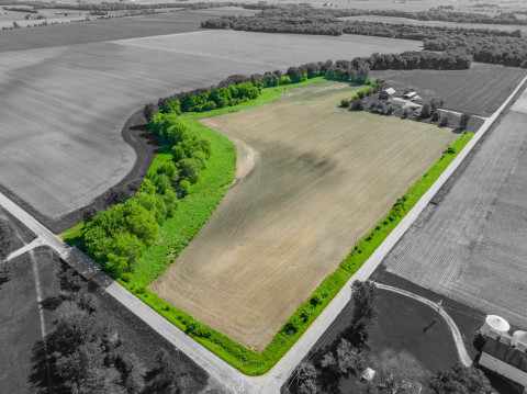 Visit NEW PRICE! 20 ACRES of VACANT LAND offers TILLABLE LAND & MATURE TREES in Mazon!