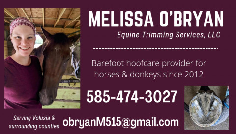 Visit Melissa O'Bryan