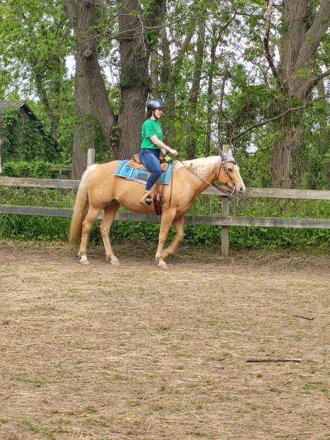 Visit Evergreen Stables