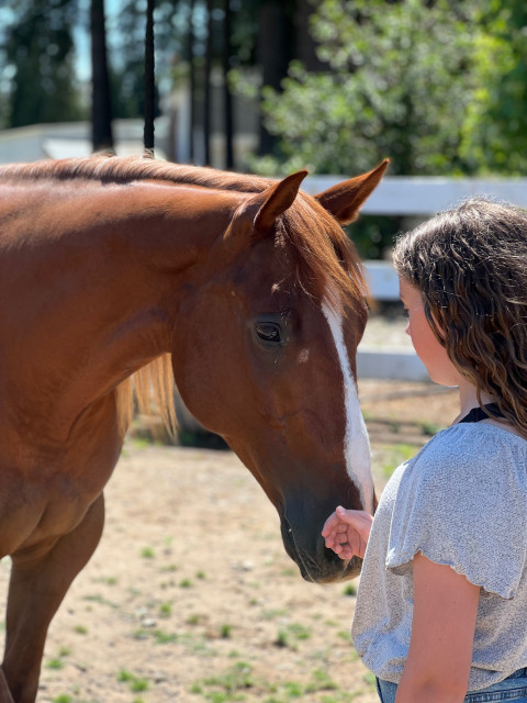 Visit Canter Ridge Stables