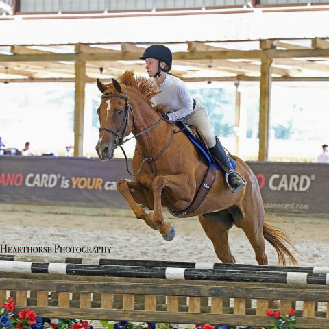 Visit Needville Equestrian Farm