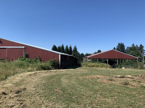 Visit Affordable Oregon Equestrian (Home, Barn, Arena) Scio/Stayton