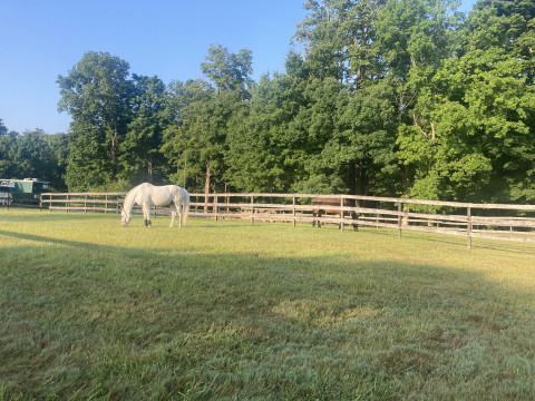 Visit Hawks View Farm: Boarding, lessons, leases and trail rides
