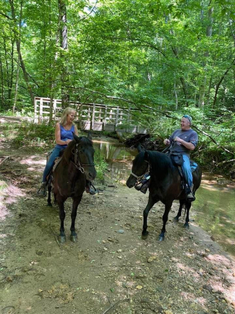 Visit Half lease  Missouri Foxtrotter $150/month