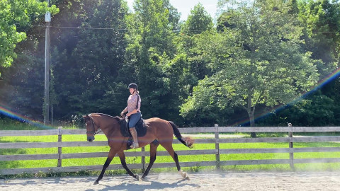 Visit Turn Key Farms, LLC - SLB Dressage