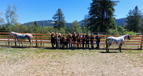 Visit The Moxie Pony Center