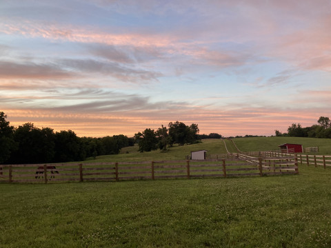 Visit Field Board on Beautiful 125 Acre Farm in Northern Virginia