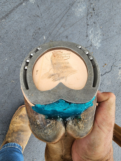 Visit JW Farrier Service