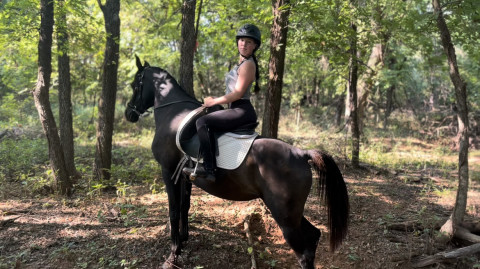 Visit Black Arabian Mare Trail Horse