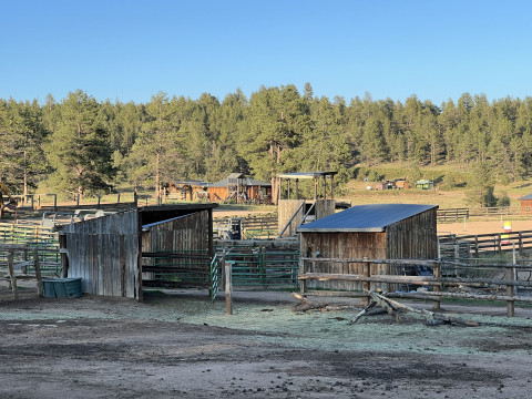 Visit MlazyC Ranch Lake George, CO  Boarding Facility