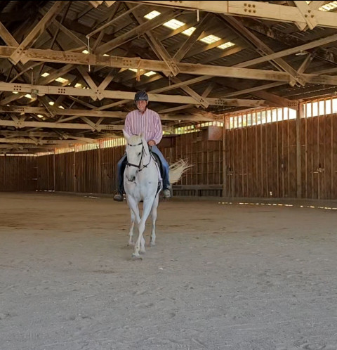 Visit Beautiful Thoroughbred