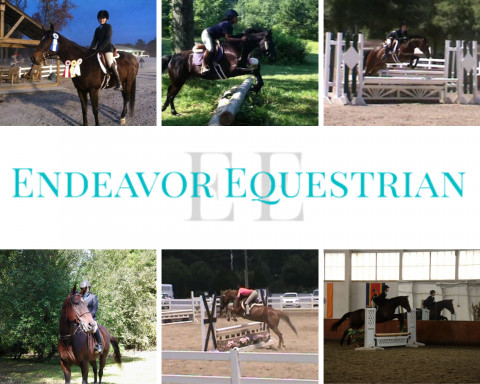 Visit Endeavor Equestrian- Traveling Hunter/Jumper Instructor
