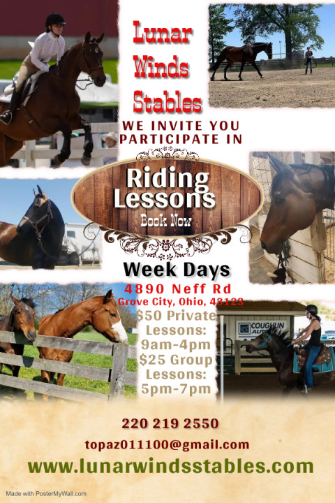 Visit Lunar Winds Equine Training