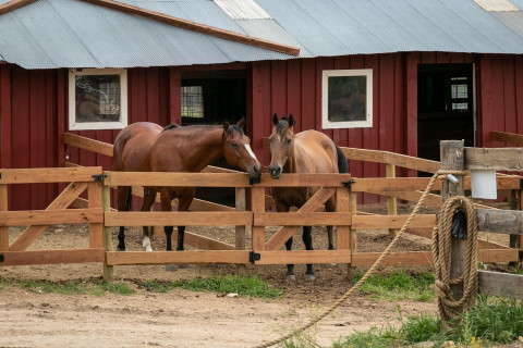 Visit Steiger Farms