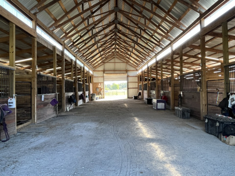 Visit Transitions Equine