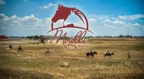 Visit Morelli Ranch & Stables
