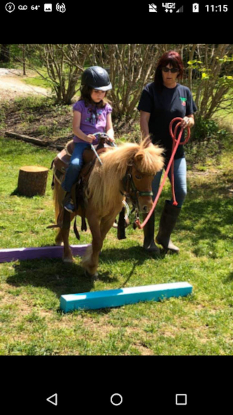 Visit Little Rascals' Pony Rides and Petting Zoo (Lessons available)