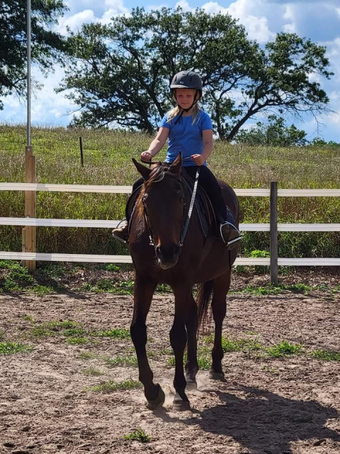 Visit Hiddenview Farm LLC