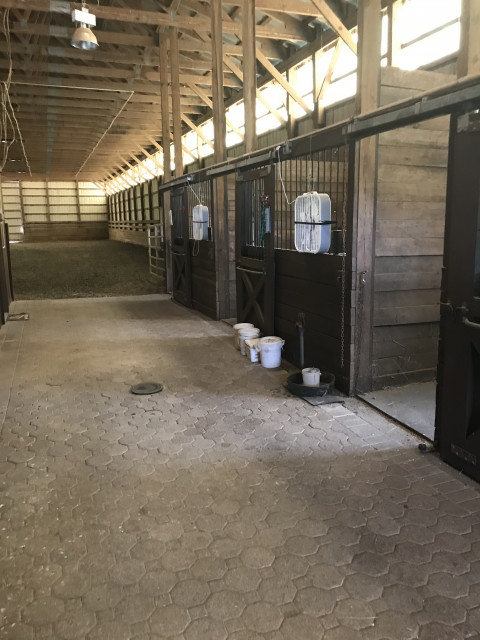 Visit Silver Fox Farm for lease