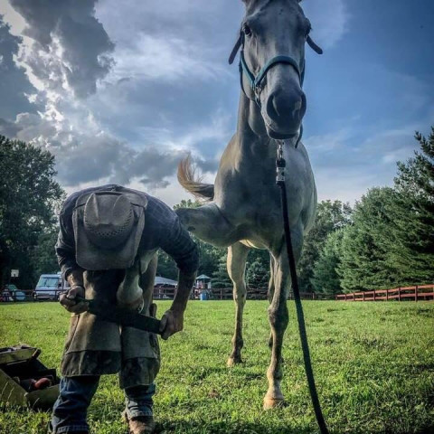 Visit From The Ground Up Farrier Service