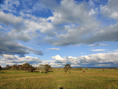 Visit Forest Home Ranch