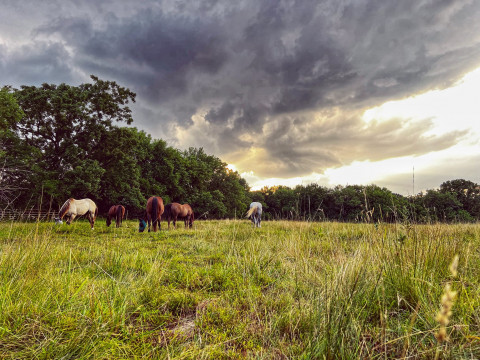 Visit Serendipity Ranch