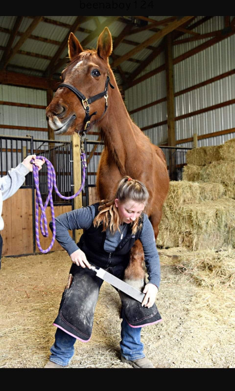 Visit Monarch Farrier Service