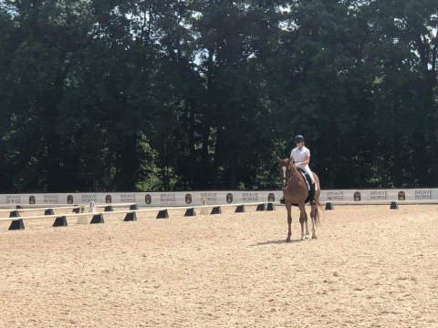 Visit Horse trainer in lexington/Frankfort area